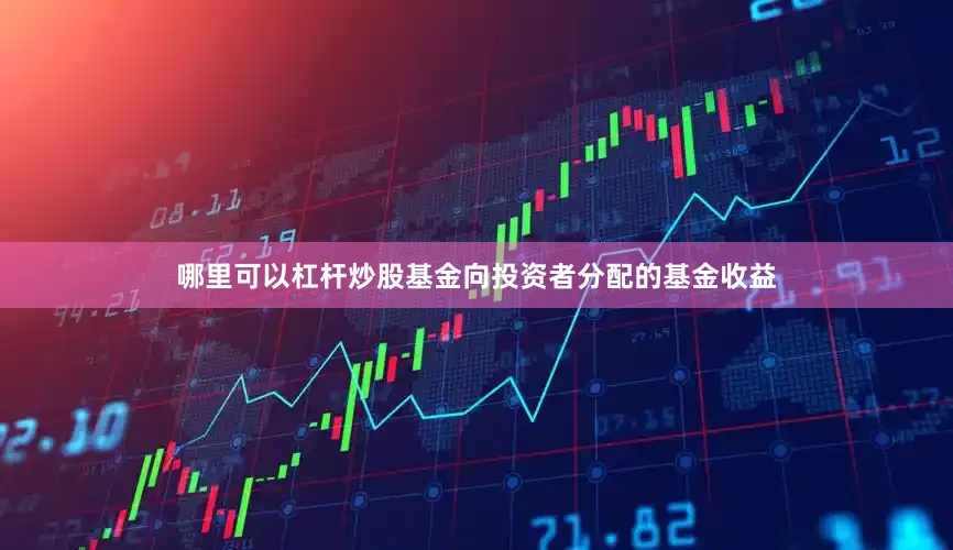 哪里可以杠杆炒股基金向投资者分配的基金收益